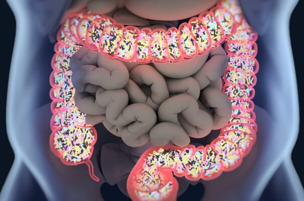 Análisis del Microbioma